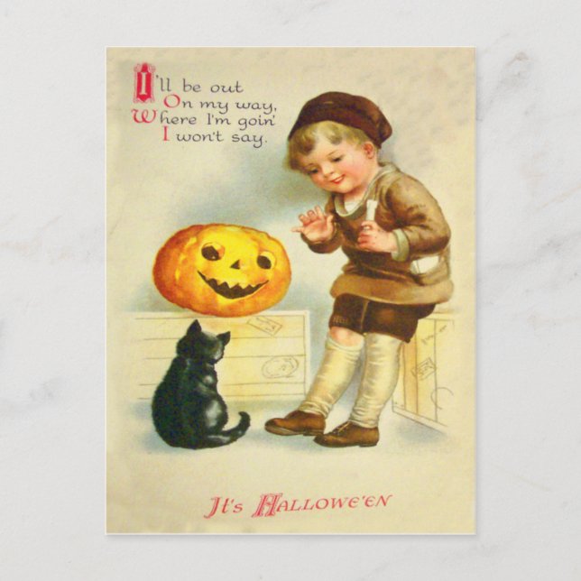Carte Postale Chat Noir Jack O Lanterne Fille Citrouille (Devant)