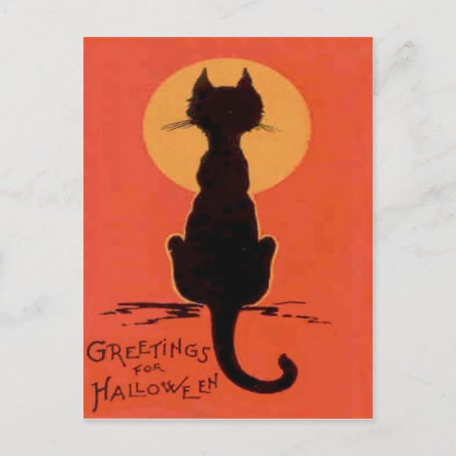 Carte Postale Chat Noir Pleine Lune Jaune Orange (Devant)