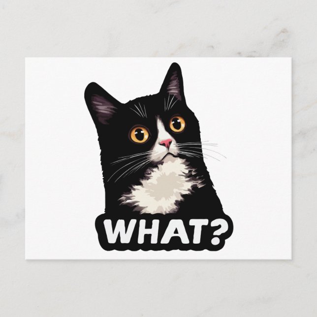 Carte Postale Chat Noir Quoi? (Devant)