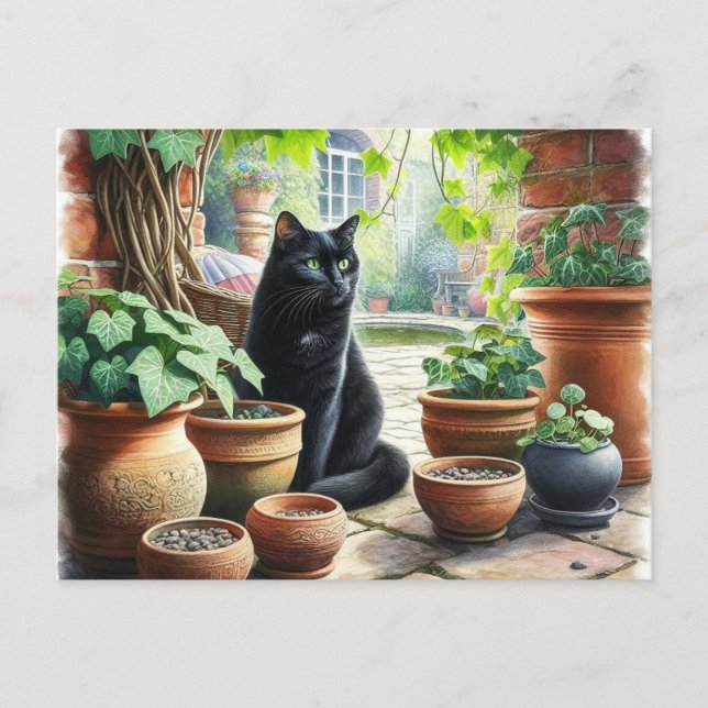 Carte Postale Chat noir regardant de l'herbe à chat pousser Mign (Devant)