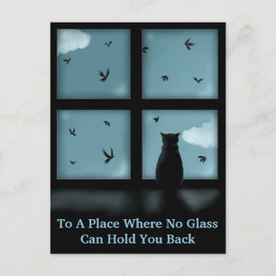 Carte Postale Chat noir regardant la fenêtre le ciel