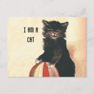 Carte Postale Chat noir vintage HALLOWEEN