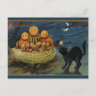 Carte Postale Chat noir vintage Halloween Citrouille