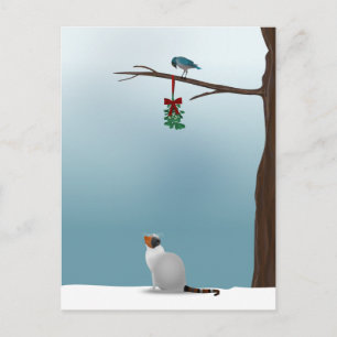 Carte Postale Chat, oiseau et gui
