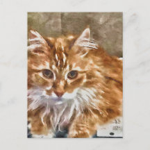 Carte postale Chat orange