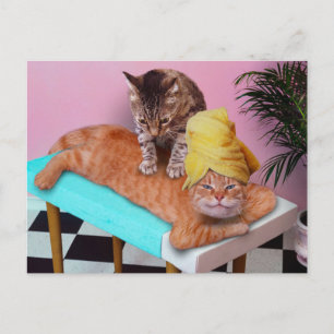 Carte Postale Chat orange bénéficiant d'un massage par un chat