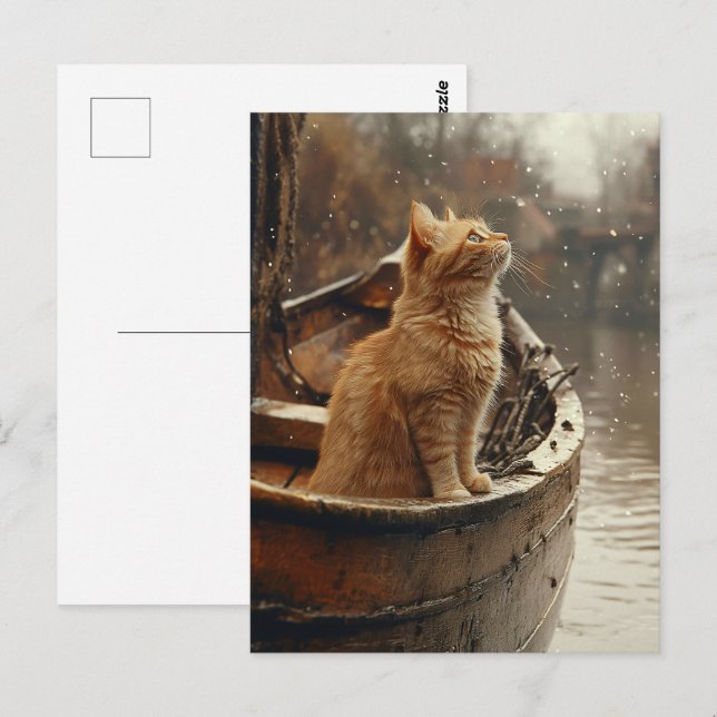 Carte Postale Chat orange sur un bateau en bois (Devant / Derrière)