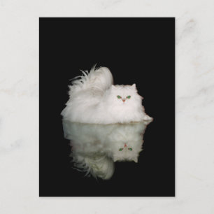 Carte Postale Chat Persan aux Yeux Vert Jade