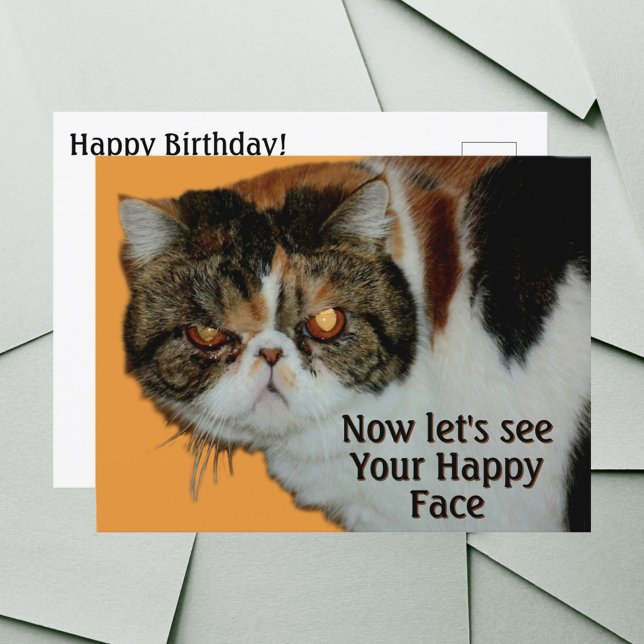 Carte Postale Chat Persan Exotique à poil court Grognon et Grouc (Créateur téléchargé)