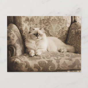 Carte Postale Chat persan sur un canapé de style Vintage