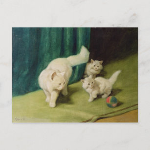 Carte Postale Chat perse blanc avec deux chatons