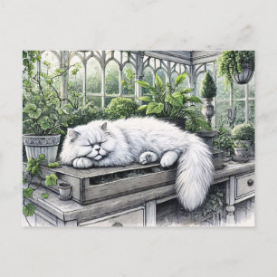 Carte Postale Chat perse blanc posé dans une serre éclairée par