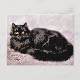 Carte Postale Chat perse noir
