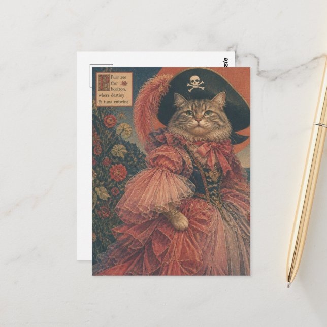 Carte Postale Chat pirate vintage (Devant/Arrière en situation)