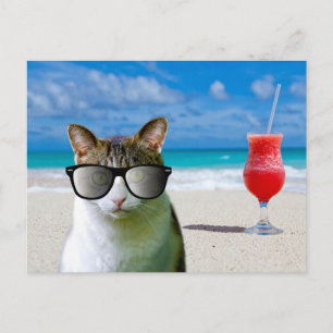 CARTE POSTALE CHAT PORTANT DES LUNETTES DE SOLEIL 