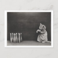 Chat portant des vêtements et jouant au bowling, c
