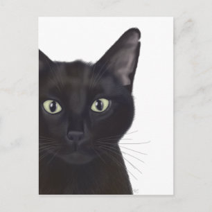 Carte Postale Chat, Portrait de Gus