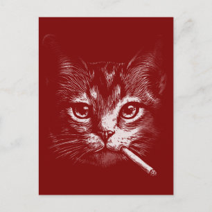 Carte Postale Chat qui Fume Drôle