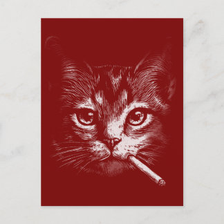 Carte Postale Chat qui Fume Drôle
