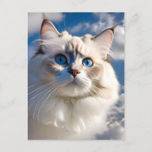 Carte postale Chat Ragdoll