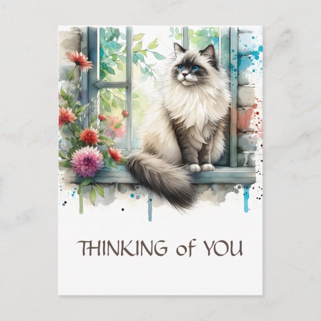 Carte Postale Chat Ragdoll Beige en fenêtre avec fleurs d'été (Devant)