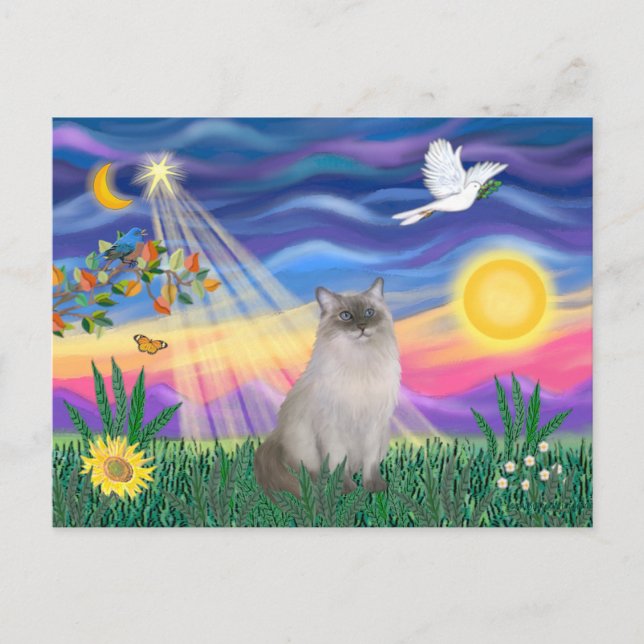 Carte Postale Chat Ragdoll (Blue Point) (Devant)