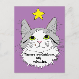 Carte Postale Chat Ragdoll Inspirant Seulement des Miracles