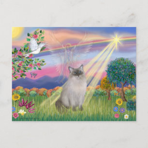 Carte Postale Chat Ragdoll (Point Bleu) - Ange des Nuages
