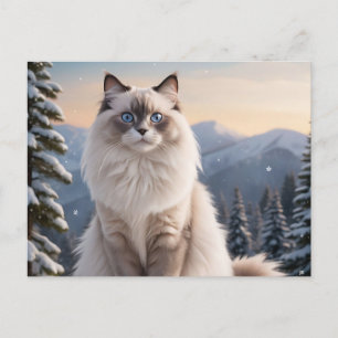Carte Postale Chat Ragdoll sur la montagne de neige avec un hive