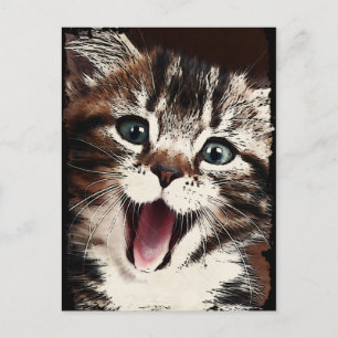 Carte Postale Chat riant