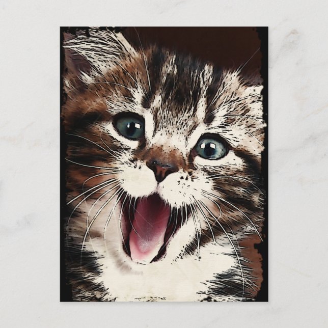 Carte Postale Chat riant (Devant)