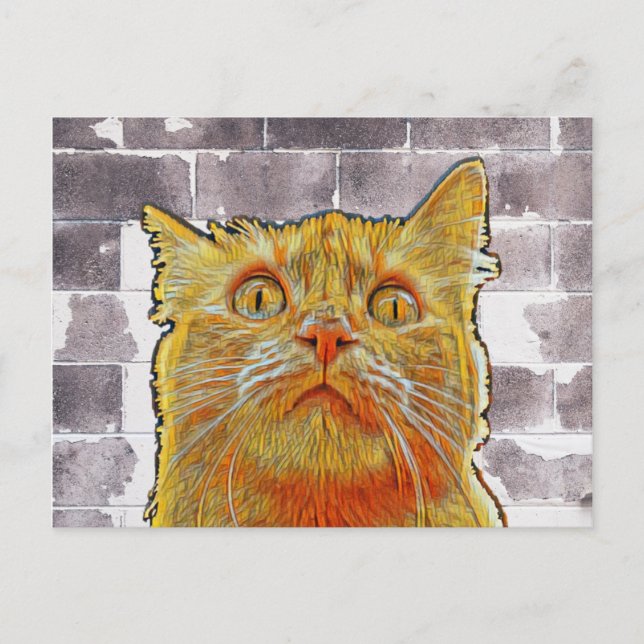 Carte Postale Chat rouge en difficulté. (Devant)