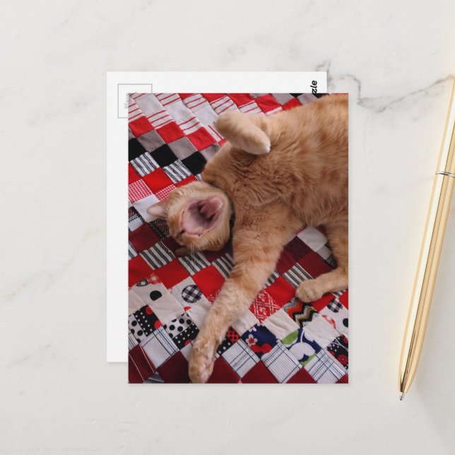 Carte Postale Chat roux endormi avec un grand bâillement (Devant/Arrière en situation)