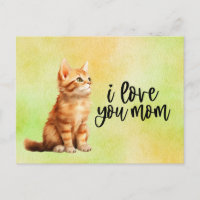 Chat roux Je t'aime Maman 