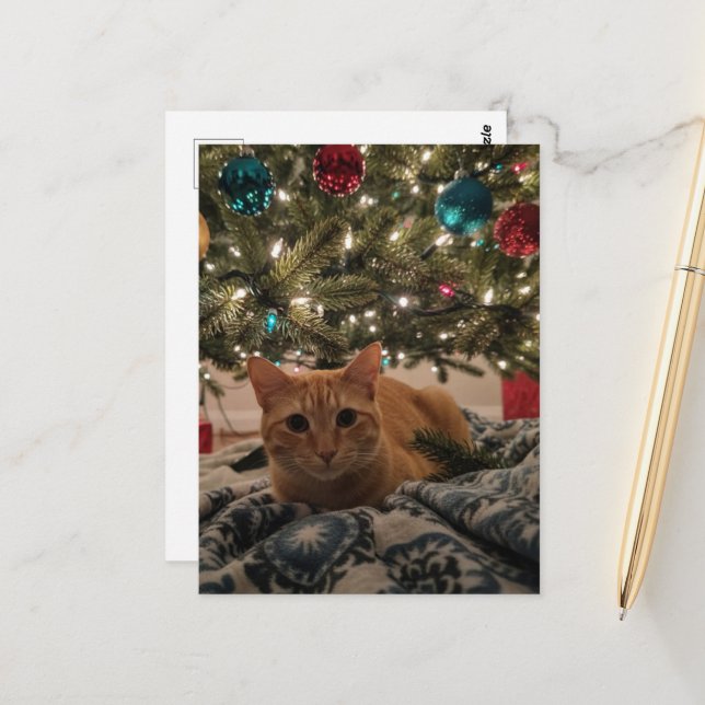 Carte Postale Chat roux sous l'arbre de Noël (Devant/Arrière en situation)