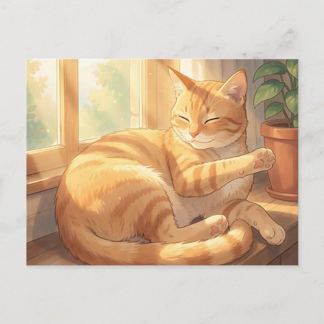 Carte Postale Chat roux tabby confortable au soleil  (Devant)