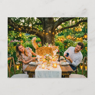 Carte Postale Chat Ruine La Demande En Mariage
