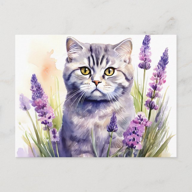 Carte Postale Chat Scottish Fold aquarelle dans un champ de lava (Devant)