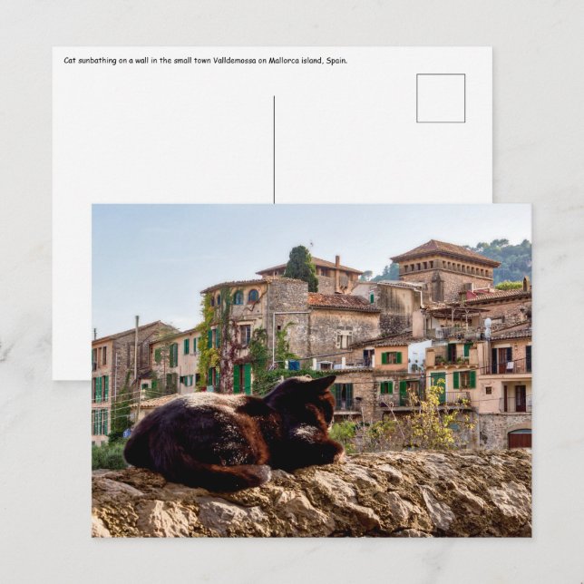 Carte Postale Chat se prélassant sur un mur - Valldemossa, Mallo (Devant / Derrière)