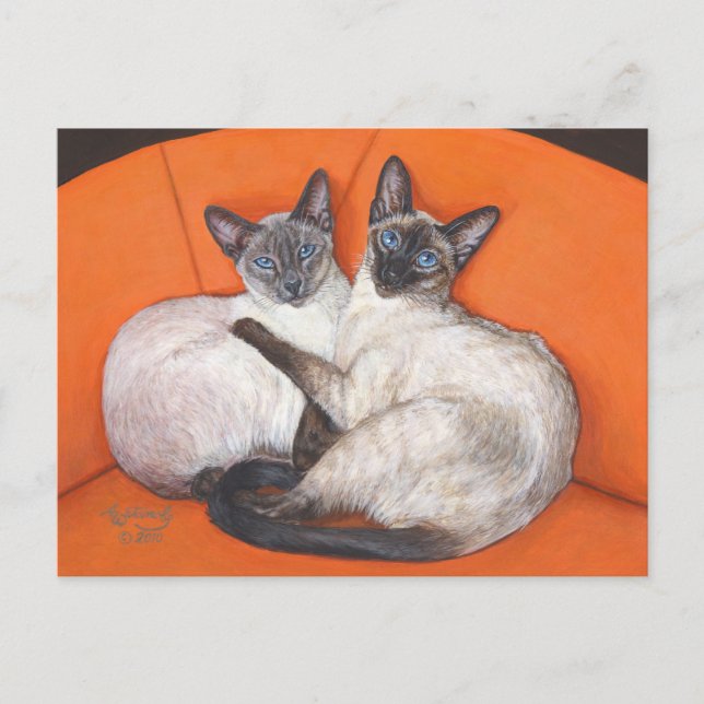 Carte Postale Chat Siamese Couple Cosy (Devant)