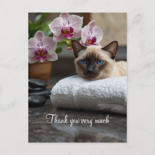 Carte Postale Chat siamois au spa Merci 