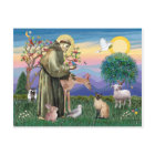 Chat siamois et Saint François