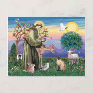 Carte Postale Chat siamois et Saint François