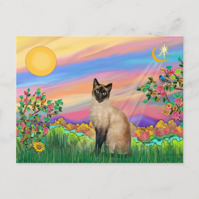 Carte Postale Chat siamois - Étoile du jour (Devant)