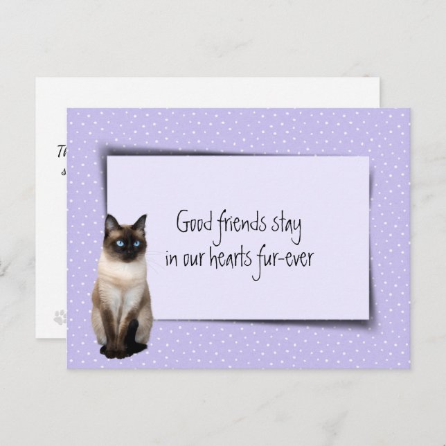 Carte Postale Chat siamois perte de compagnie de vétérinaire (Devant / Derrière)