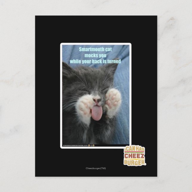 Carte Postale Chat Smartmouth (Devant)