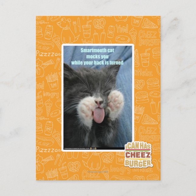 Carte Postale Chat Smartmouth (Devant)
