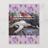 Chat smoking Funny Mignon faisant une Vague Mexica