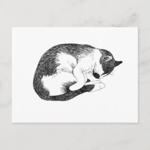 Carte Postale Chat Smoking Tuxedo Dormant Dessin Noir et Blanc