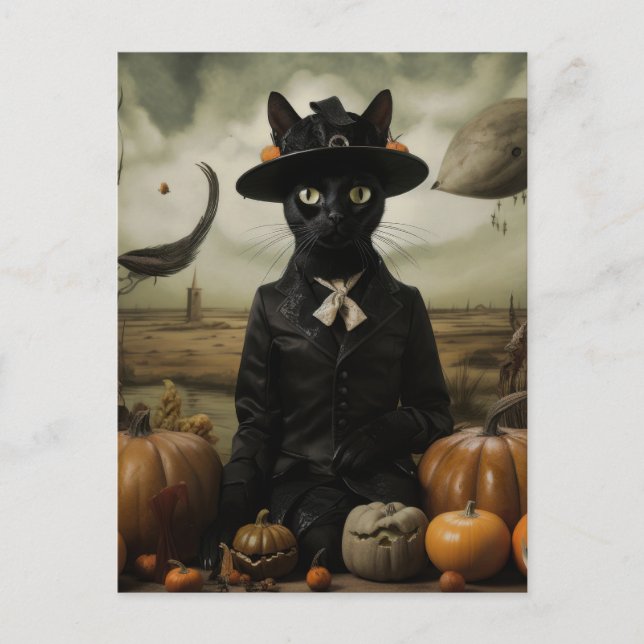 Carte Postale Chat sorcière avec citrouilles  (Devant)